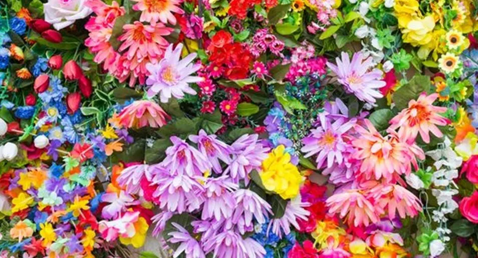 A rebrand research board of blooming flower forms with overlapping translucent petals.