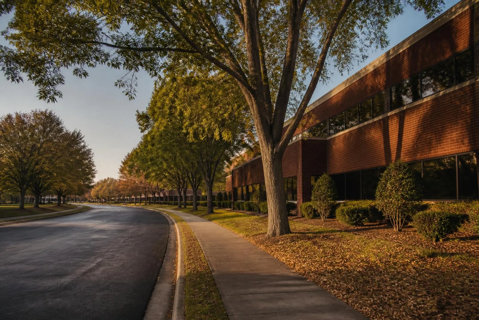 A quiet tree-lined street beside a low brick medical office building in warm early-morning Kentucky light.